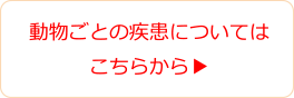 動物ごとの疾患についてはこちらから