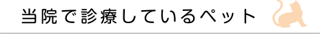 当院で診療しているペット