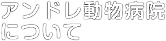 アンドレ動物病院について